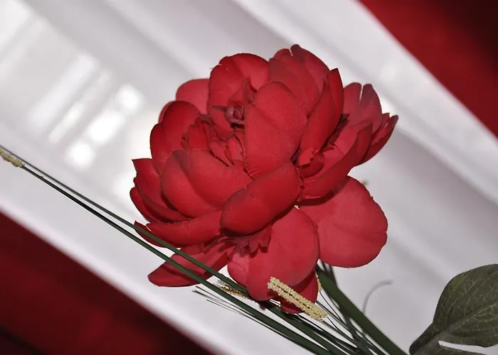 Authentic By Balladins, Le Carre D'aix